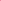 Numbuzin No.2 Rose PDRN Collagen 2X Plumping Serum + Collagen Shot 30ml - DOKAN